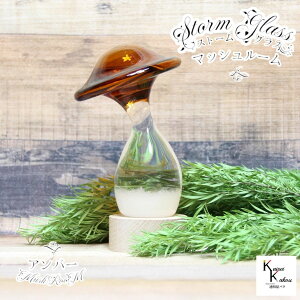 uXg[OX@}bV[@Ao[v@Fun Science@Xg[OX@Cیv@CeA@fBXvC@VC@TCGX@Ȋw@@KX@CeA@VC