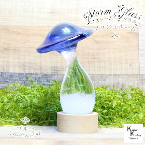 uXg[OX@}bV[@u[v@Fun Science@Xg[OX@Cیv@CeA@fBXvC@VC@TCGX@Ȋw@@KX@CeA@VC 