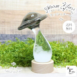 u@Xg[OX@}bV[@OCv@Fun Science@Xg[OX@Cیv@CeA@fBXvC@VC@TCGX@Ȋw@@KX@CeA