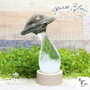 uXg[OX@}bV[@OCv@Fun Science@Xg[OX@Cیv@CeA@fBXvC@VC@TCGX@Ȋw@@KX@CeA@VC 