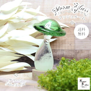 u@Xg[OX@}bV[@O[v@Fun Science@Xg[OX@Cیv@CeA@fBXvC@VC@TCGX@Ȋw@@KX@Ce