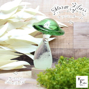 uXg[OX@}bV[@O[v@Fun Science@Xg[OX@Cیv@CeA@fBXvC@VC@TCGX@Ȋw@@KX@CeA@VC