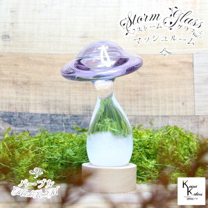 uXg[OX@}bV[@p[vv@Fun Science@Xg[OX@Cیv@CeA@fBXvC@VC@TCGX@Ȋw@@KX@CeA@VC