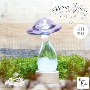 u@Xg[OX@}bV[@p[vv@Fun Science@Xg[OX@Cیv@CeA@fBXvC@VC@TCGX@Ȋw@@KX@Ce