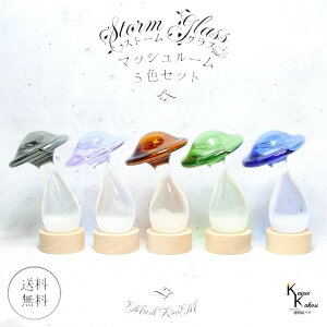 u@Xg[OX@}bV[@SFZbg@1×5Fv@Fun Science@Xg[OX@Cیv@CeA@fBXvC@VC@TCGX@Ȋw@@KX