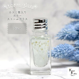 VC킩IuJX~Xg[OX C{gno.10 u[v VC tBbcC o[^[ Cۗ\ Cیv JX~ v[g 蕨 