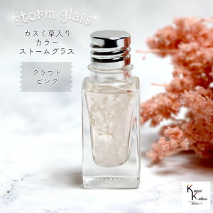 VC킩IuJX~Xg[OX C{gno.10 NEhsNv VC tBbcC o[^[ Cۗ\ Cیv JX~ v[g 蕨 