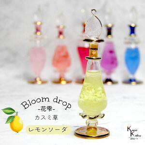 u Bloom drop Ԏ \[_v JX~NIpgXg[OX CG[ GWvVXg[OX GWvgOX u u e fR[V{g tBbcC 