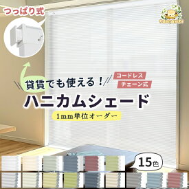 ＼先着クーポン＆レビュー特典付♪／ハニカムシェード つっぱり 遮光 突っ張り ハニカムスクリーン チェーン コードレス 穴開け不要 遮光ブラインド 断熱スクリーン 取付簡単 遮熱 断熱 1mmサイズオーダー 賃貸OK 洋室 和室 西日対策 省エネ 間仕切り 暑さ対策 1年保証
