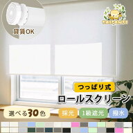 ＼限定⭐︎最大25%OFF★レビュー特典／つっぱり式 ロールスクリーン オーダー 遮光 送料無料 目隠し 小窓…