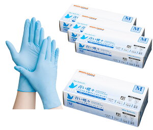 MTCY XyHACCPF؁z擾i Lтjg Hiq@K 1100 ҂tBbg yіLxz qp jg ĝĎ  Ep  u[ 