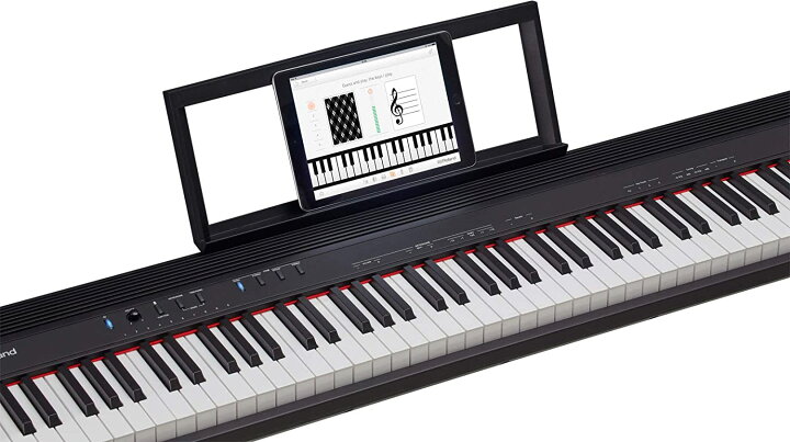 楽天市場】送料無料(沖縄・北海道・離島を除く)☆ROLAND GO-88 GO 