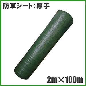 y@l艿izyl͑9000~ZzyAЖEXLKvzyϗpN4`6Nzx135G hV[g 2m×100m XO[ (Rۍ܁{UVܓ^Eϋv4-6N) 