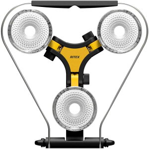 (EkCE) RITEX X[p[[NCg(nCp[FLED×3) y3̃Cgꂼz { WT-1000(kC1000~BE2000~ZBj