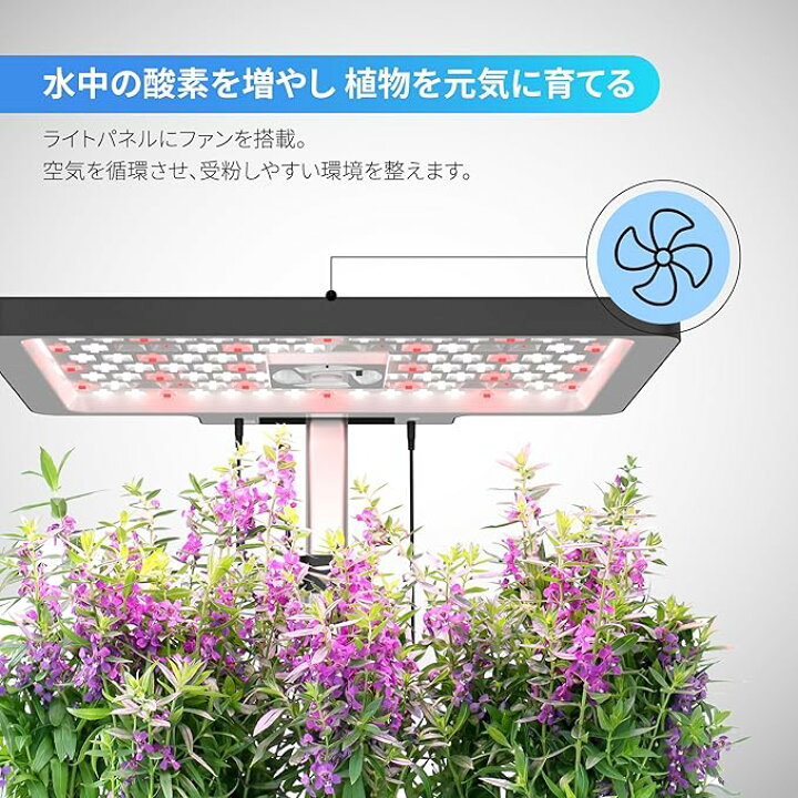 楽天市場】送料無料(沖縄・北海道・離島を除く)☆ iDOO 水耕栽培キット 