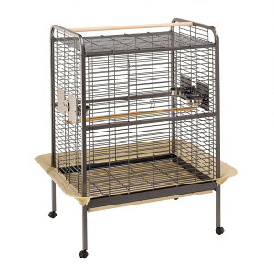 (kC1000~BE2000~ZjSDGsg͑qɂ蔭@IEpP[W GLXp[g100Parrot Cage Expert 100@(kC1000~BE2000~ZjSDGsg͑qɂ
