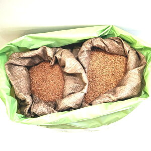 (EkCE)SDGsg͑qɂ蔭   110LSawdust Granules 110L Bag (kC1000~BE2000~ZjSDGsg͑qɂ蔭