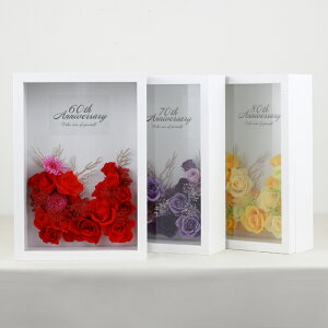 yzMtgT[rX  vU[uht[ z`郁bZ[WMtg[259A][260][261] Mtg v[g j  җ Ê  P Ď t[AW