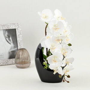 MtgT[rX   t@mvVXAW[73A] Ӓ 2{ CeA Mtg v[g JXj JƏj J@j  A[eBtBVt[ t[AW