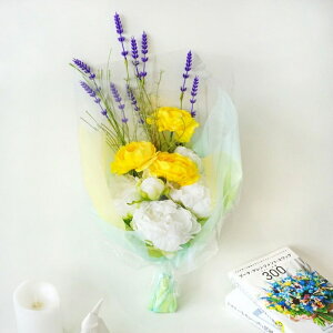 MtgT[rX   ԑ AW[WEB153C] sIj[ u[P CeA Mtg v[g a ij ސEj  A[eBtBVt[ t[AWg p