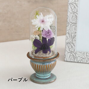 MtgT[rX  vU[uht[ h[AW[307][308]    Mtg    sN vU t[AWg pt[ 