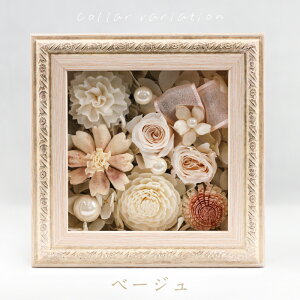 yzMtgT[rX  t[{bNX solage XNGA \t[ vU[uht[ Mtg v[g a j LO \ Əj ސEj t[