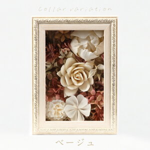 yzMtgT[rX  t[{bNX solage \t[ vU[uht[ Mtg v[g a j LO \ Əj ސEj  t[