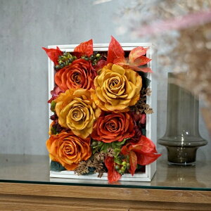 MtgT[rX   SDGsRNVEBOX FLOWER[IW[Y] CeA Mtg v[g  zj A[eBtBVt[ t[AWg pt[