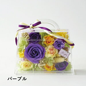 yzMtgT[rX  vU[uht[ [320][321] Mtg v[g a j j LOi [Y    Ê   t[AWg pt