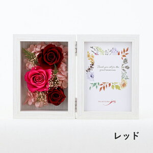 yzMtgT[rX  vU[uht[ [355][356][357] tHgt[ ʐ^ Mtg v[g a j j LOi [Y ̓    җ t