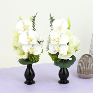 MtgT[rX   Ӓ AWg  [WEB505]    ފ ~ ~  l\ @v Mtg v[g  A[eBtBVt[ t[