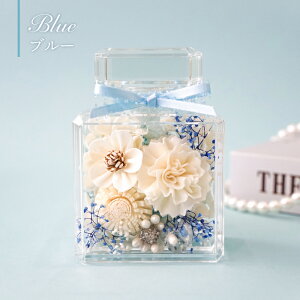 yzMtgT[rX  t[{bNX solageuPerfumev \t[ vU[uht[ Mtg v[g a j Əj ސEj ̓ zCgf[ t