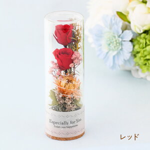 yzMtgT[rX vU[uht[ [WEB434/435/436/437/438] Mtg v[g a LO zCgf[ Əj j ސEj t[AWg pt[