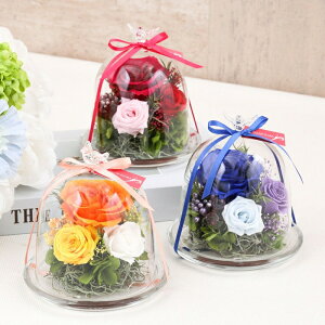 yzMtgT[rX  vU[uht[ [335][336][337] Mtg v[g a j j LOi [Y ̓      җ P Ď  t[