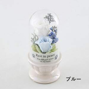 MtgT[rX  vU[uht[ ybgp h[AW[350][351]  ybg   Mtg  F sN vU t[AWg pt[