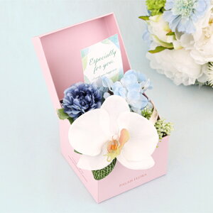 yzMtgT[rX  Mtg{bNX [554/555/556] Mtg v[g ̓ a j \ Əj ސEj  A[eBtBVt[ t[AW