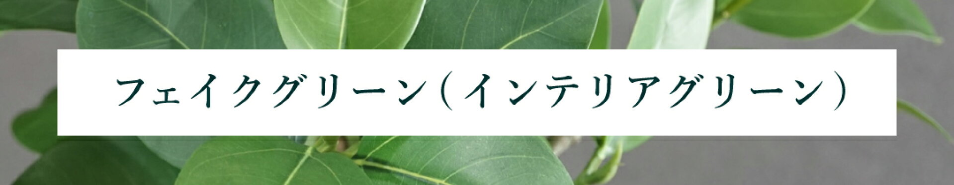 フェイクグリーン（インテリアグリーン）