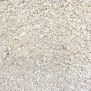 パラオ産 サンゴ砂 パラワンサンド SSサイズ 2kg アクアリウム 水槽 砂 飼育 白砂 小粒 細かい 海砂 国産 珊瑚砂 サンゴ砂 パラオ PALAU 天然サンゴ 化石サンゴ 白い砂 オカヤドカリ パラワンサ