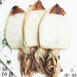 Ⓚ n` 5 xgiY 銱 悷 PTL 