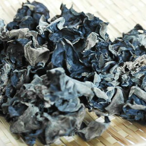 LNQ M{\b(100g)Y 炰 ؎ R 