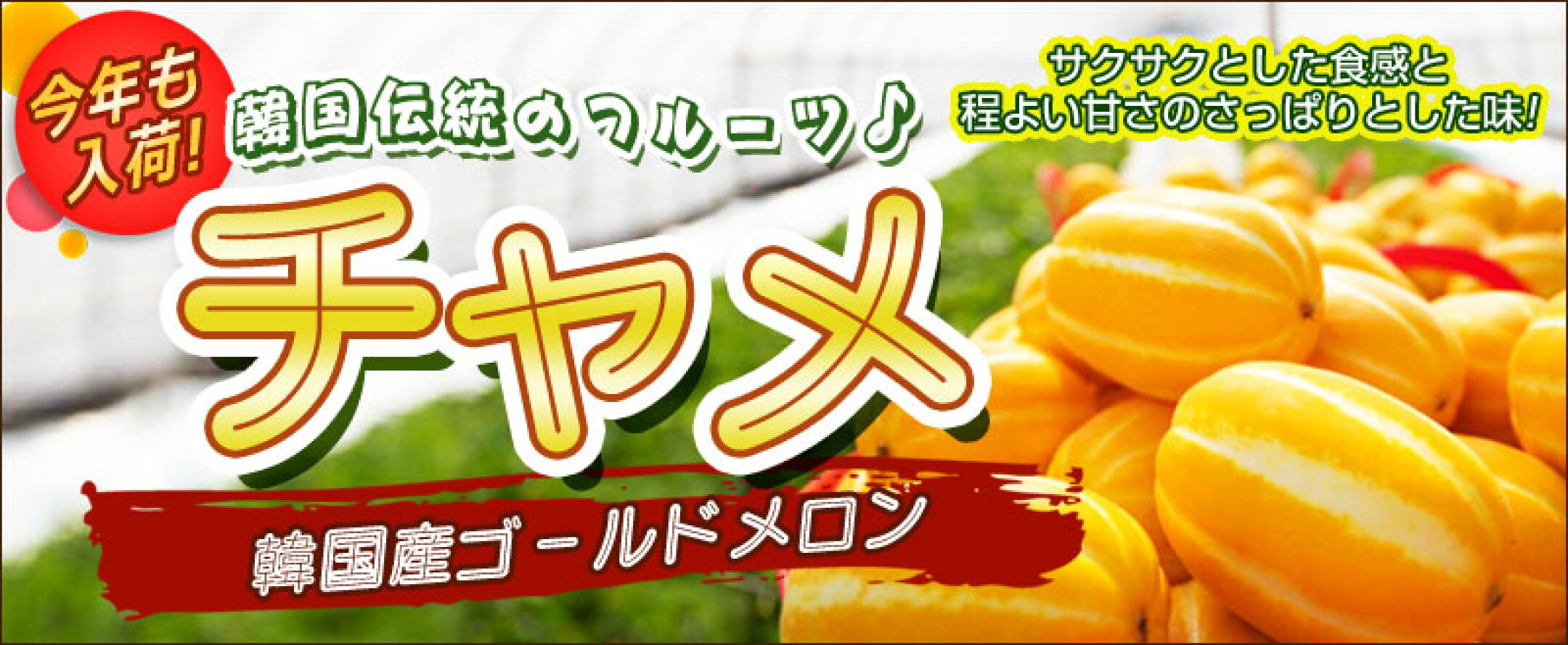 韓国産入荷！チャメ  販売開始～韓国産ゴールドメロン！