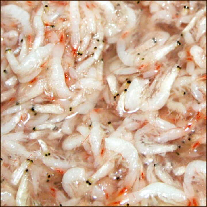 楽天市場 当店おすすめ 冷凍 食材 あみの塩辛 アキアミの塩辛 1kg 韓国産 えび 調味料 キムチ 韓国塩辛 韓国料理 韓国食材 韓国食品 オススメマラソン ポイントアップ祭 八道韓国食品