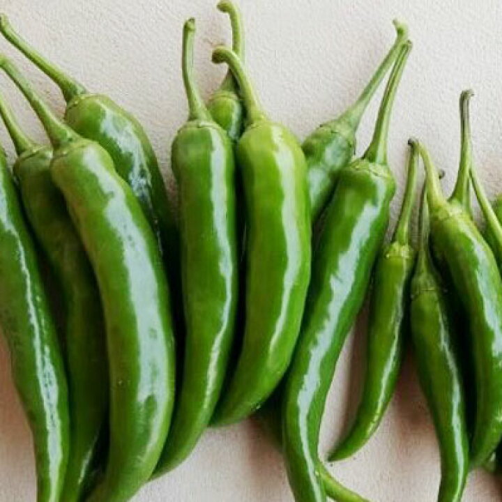 楽天市場 冷蔵 食材 青唐辛子 甘口 0g きゅうり青唐辛子 韓国産 生唐辛子 辛さ控えめ 野菜 韓国食材 韓国料理 韓国食品スーパーセール ポイントアップ祭 スーパーセール 八道韓国食品 楽天市場 冷蔵 食材 青唐辛子 甘口 0g きゅうり青唐辛子 韓国産 生唐辛子 辛さ控えめ 野菜 韓国食材 韓国料理 韓国食品スーパーセール ポイントアップ祭 スーパーセール 八道韓国食品