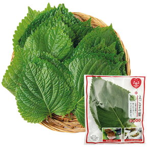 ① GS}̗t ܂̗t Pjv 1(10){Y 