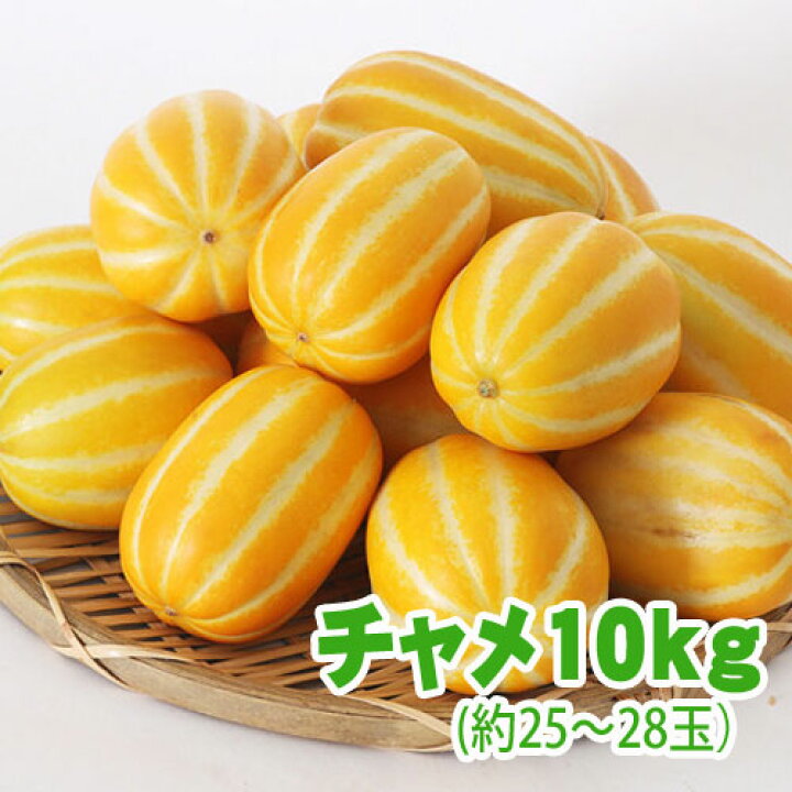 楽天市場】☆送料無料☆(※北海道・九州・沖縄・離島を除く)【今だけの 