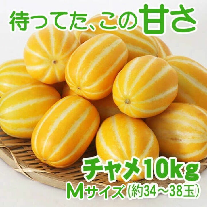 楽天市場】☆送料無料☆(※北海道・九州・沖縄・離島を除く)【今だけの 
