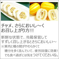 楽天市場 韓国食品 チャメ 韓国産入荷 販売開始 韓国産ゴールドメロン 八道韓国食品