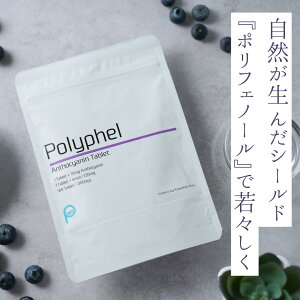 yԌ300~ItN[|zz!zpIȏiJ Polyphel-|tF- 30 |tFm[ JVX AgVAj Tvg X R_ GCWOPA Tv Y H