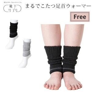 y10%OFFzCTv ܂łEH[}[ t[TCY IJg C [\bNX ₦΍ g C fB[X [΍ \bNX h ~ 