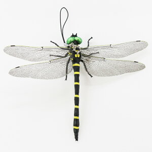 Ij} 悯 t^Cv bN Xq AEghA Lv Op Ƃ ܕsgp ̓VG S}  Sst Xgbvt _ K[fjO oR sNjb